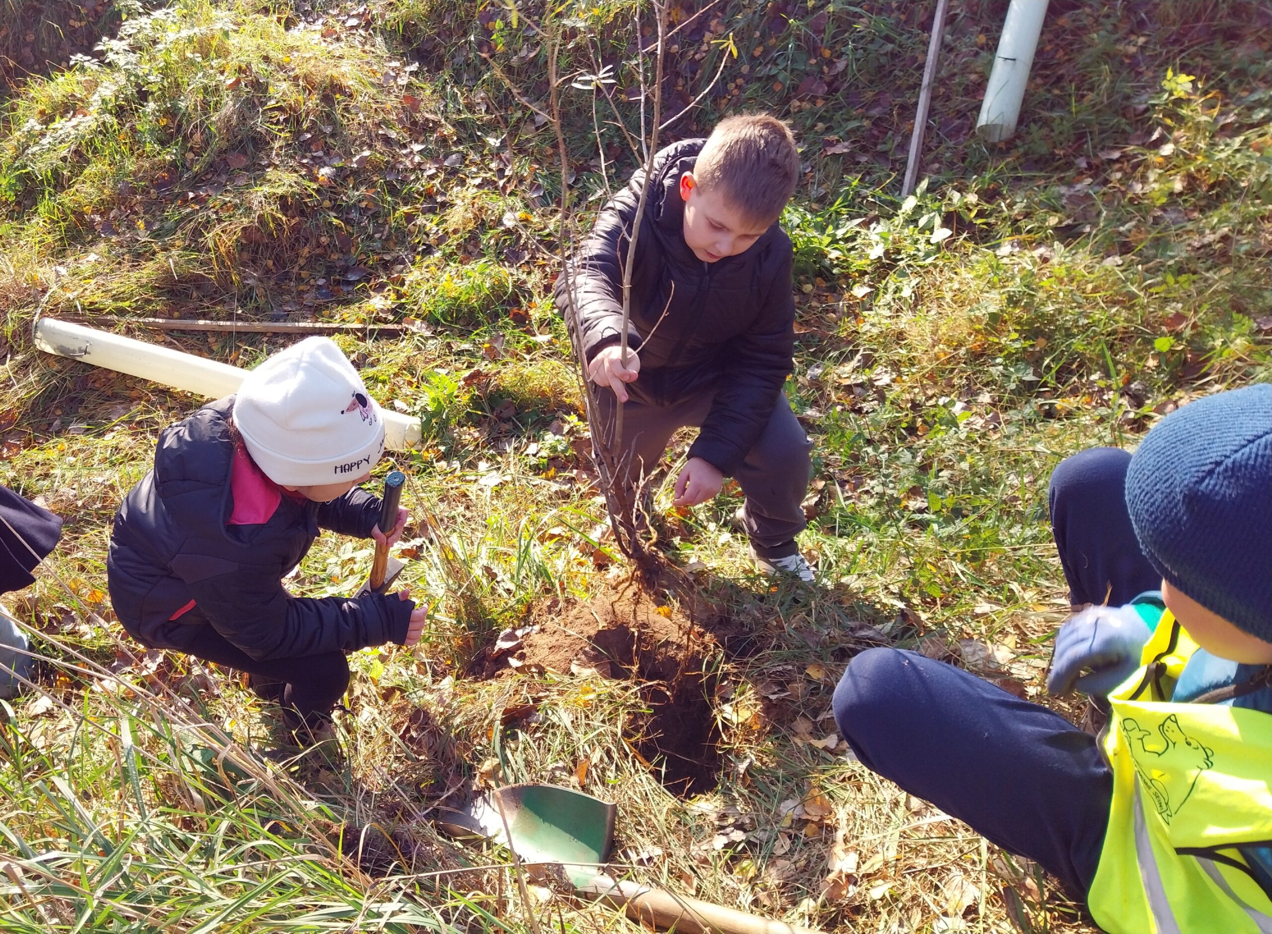 Unsere Waldpflanztage 2025