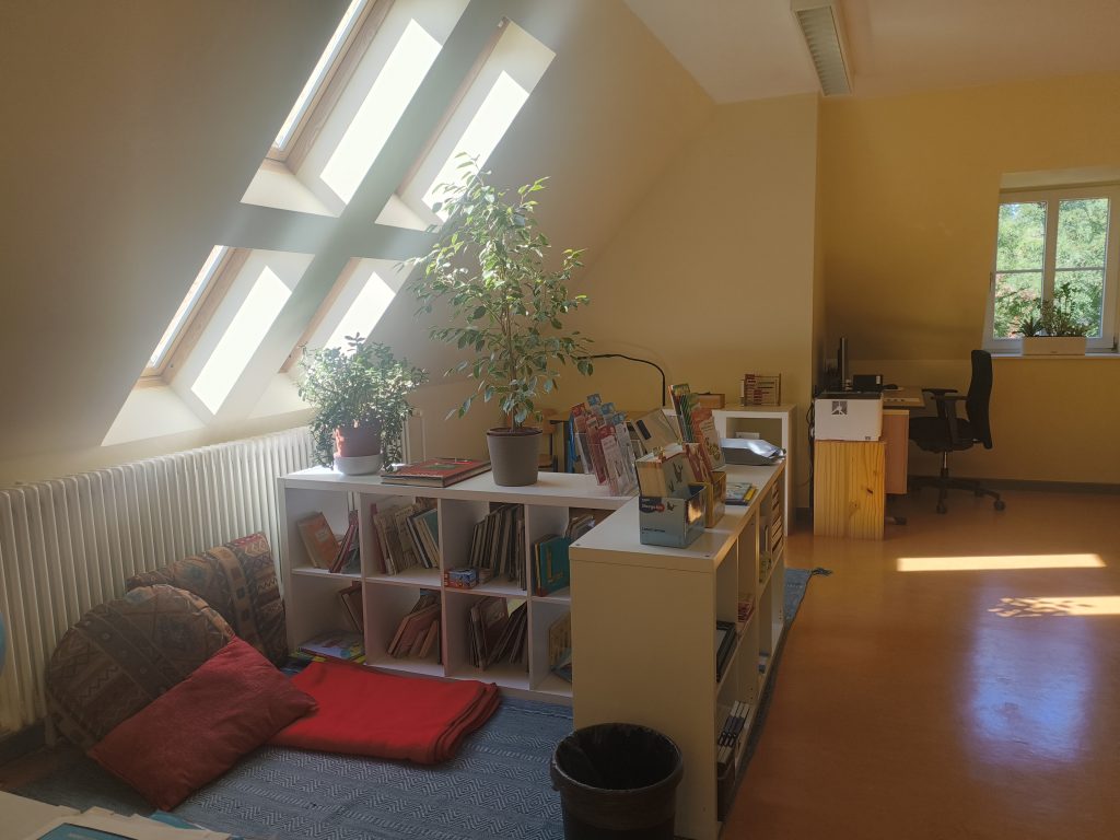 Foto der Bücherecke mit Kuschelkissen, Regal und Teppich